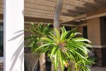 palm-springs-desert-courtyards-patio-0976